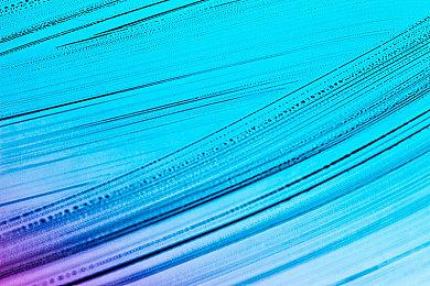 中国版范海辛？国外博主向玩家科普“钟馗是谁”